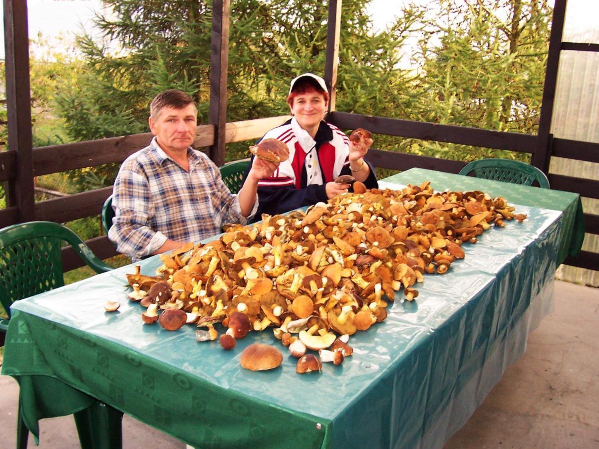 Biebrza24 - Agroturystyka Sztabin Luaran gambar