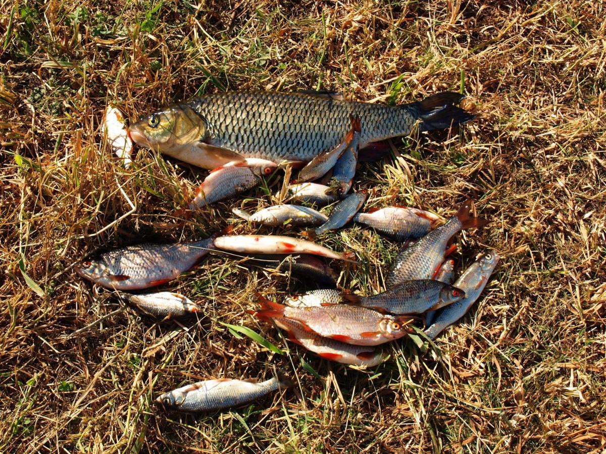 Biebrza24 - Agroturystyka Sztabin Luaran gambar