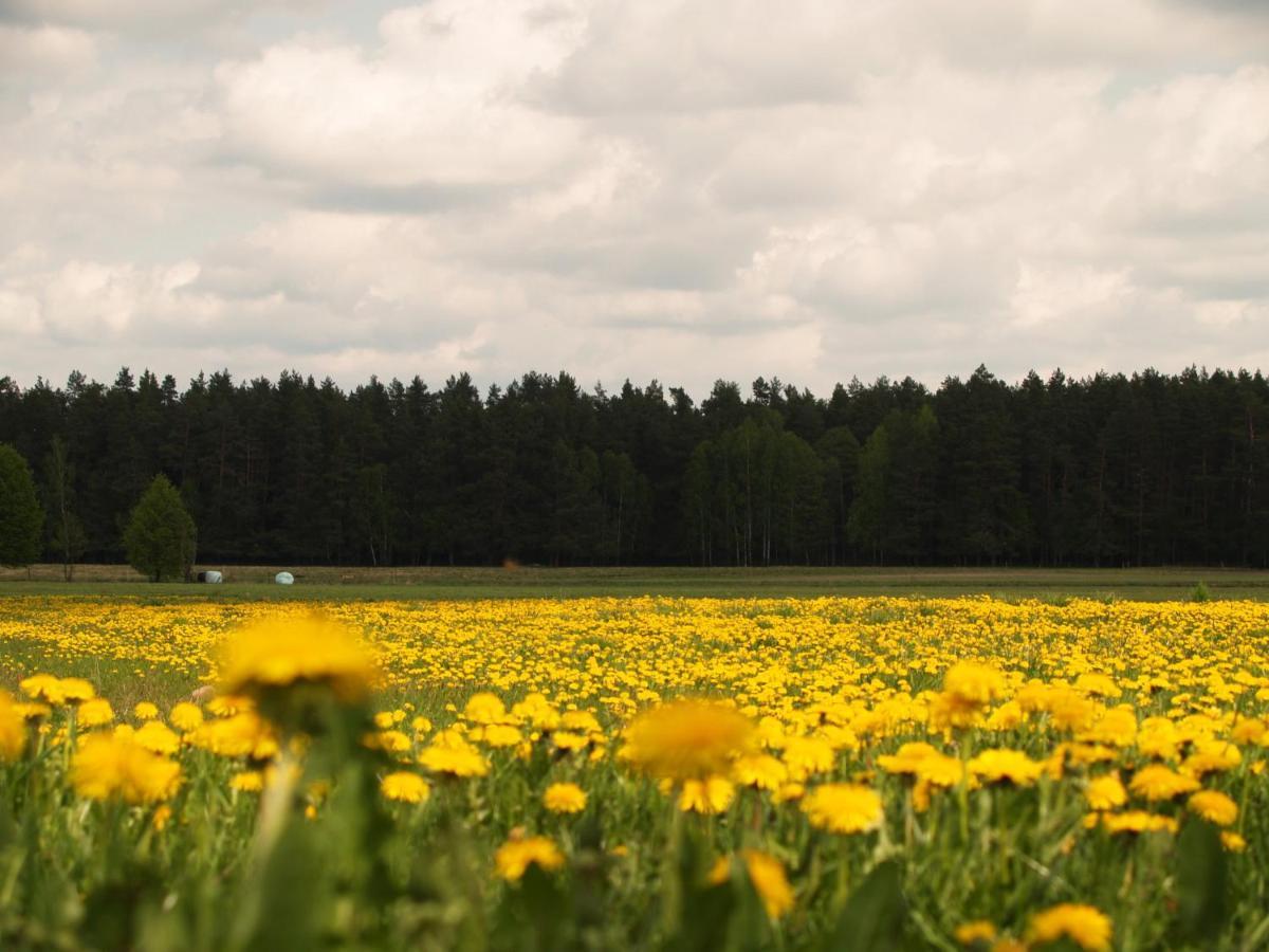 Biebrza24 - Agroturystyka Sztabin Luaran gambar