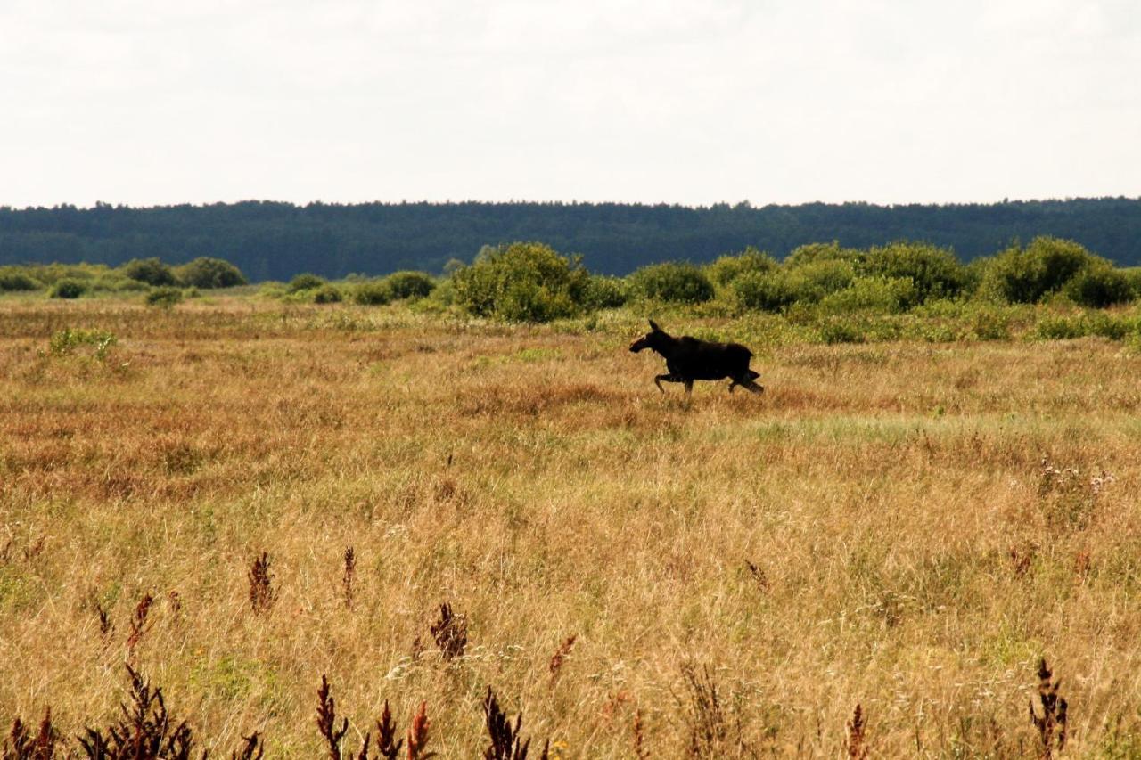 Biebrza24 - Agroturystyka Sztabin Luaran gambar