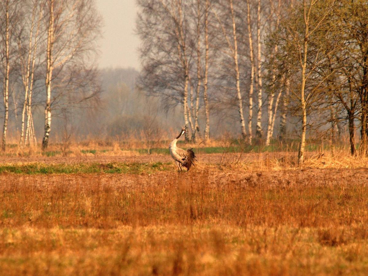 Biebrza24 - Agroturystyka Sztabin Luaran gambar